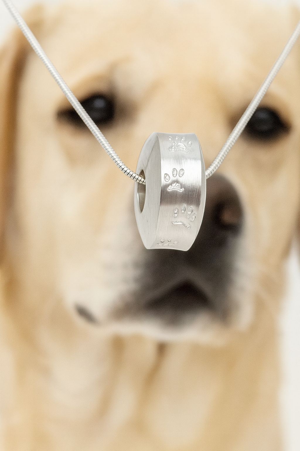 Anhänger für Asche, Urnenanhänger, Ascheschmuck, Hund
