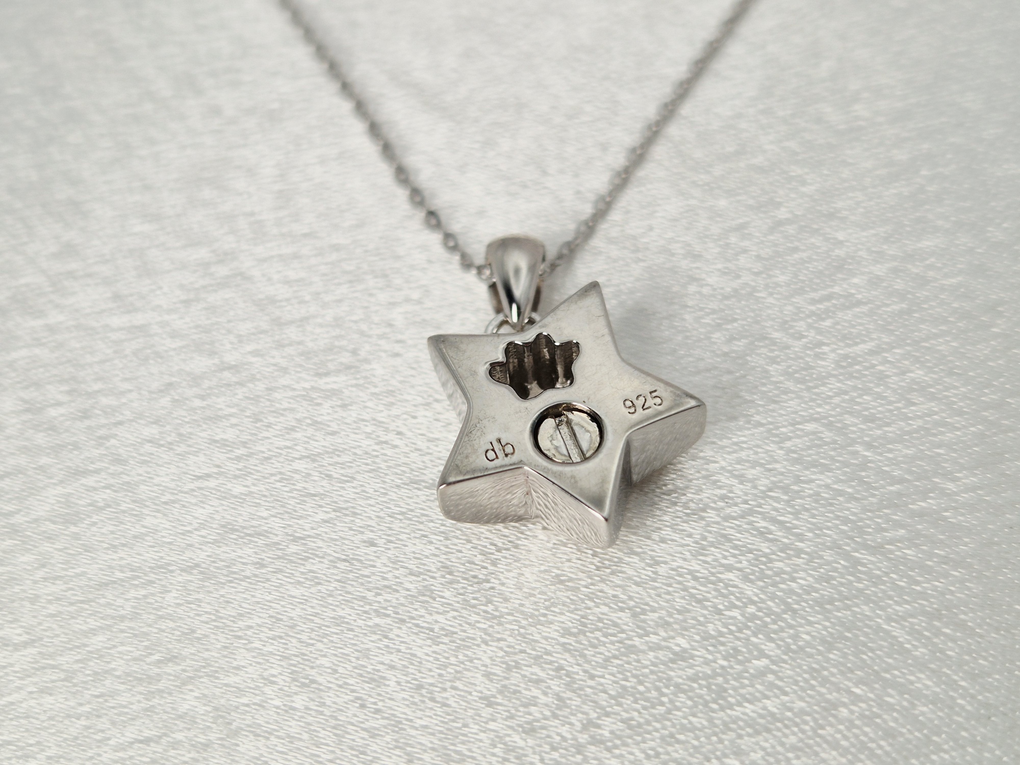 Asche Anhänger Sternenpfote (925 Sterling Silber) – Bild 4